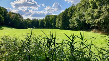 Yazın sonlarında güzel ve taze bir manzara