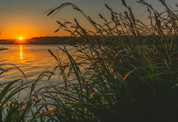 Gölde gün batımı