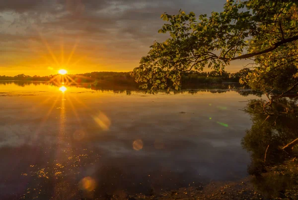 Ağaçların yansımasıyla gölün üzerinde gün doğuyor.