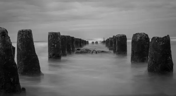 Plajın siyah beyaz resmi