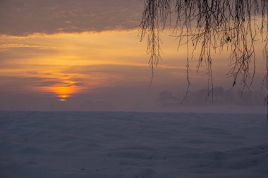 Bir ağaçla karlı bir tarlanın üzerinde gün batımı