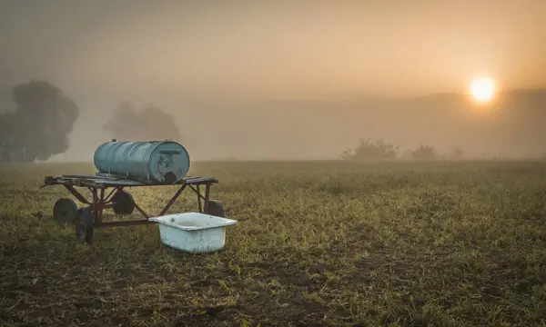 Tarlada duran bir fıçı ve sepetin üstünde bir kova.