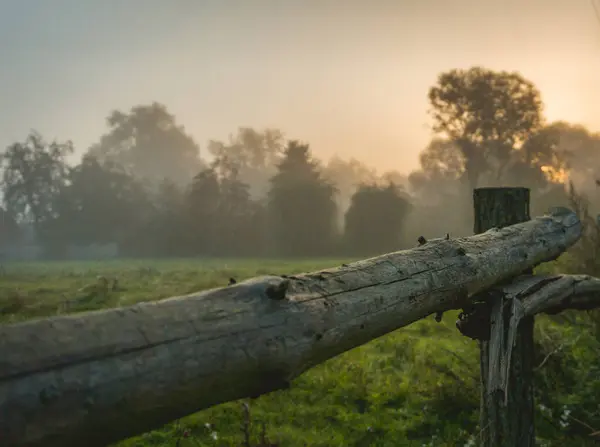 Arkasında sisli bir alan olan bir çit.