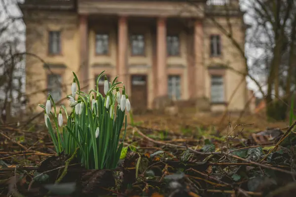 Önünde çiçek demeti olan bir ev.