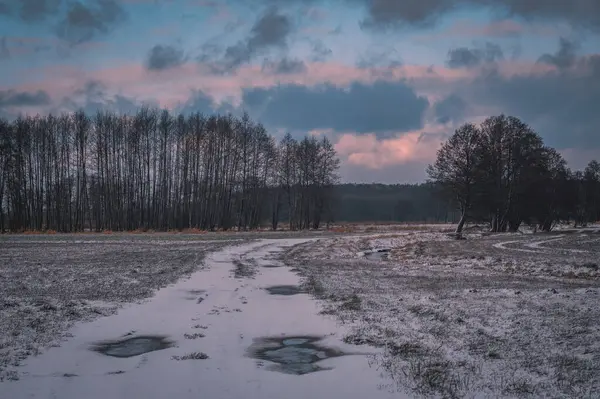Ormana giden yolu olan karlı bir tarla.