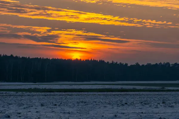 Ön planda bir atla gün batımı