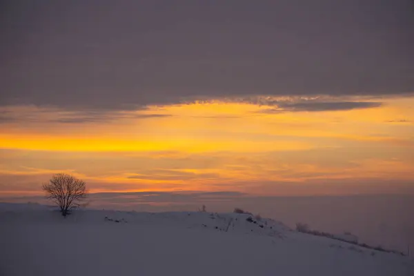 Karlı bir tepede kayak yapan biri.