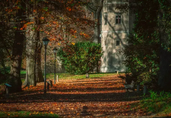 Arkasında bank ve bina olan bir patika.