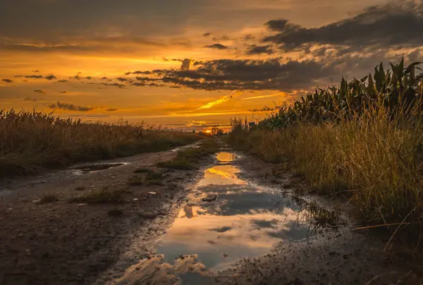 Ortasında su birikintisi olan toprak bir yol.