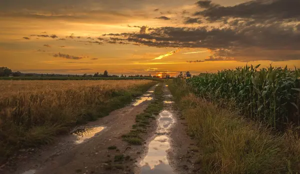 Arka planda gün batımı olan toprak bir yol.