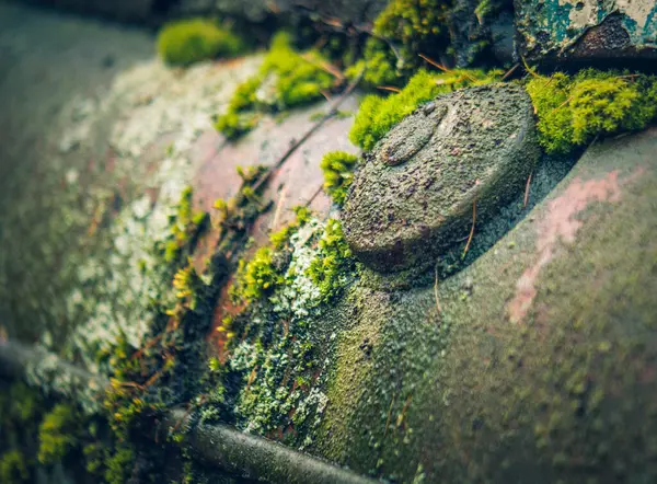 Yerdeki eski paslı fıçı