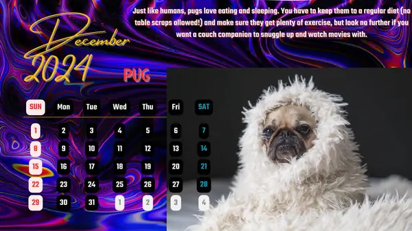 Dog Calendar 2024 13 pages December