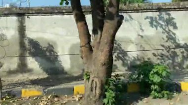 18 Mart 2024 'te büyük şehir Lahore Pakistan' da ana yola çıkan otobüsten servis yolu görüntüsü.