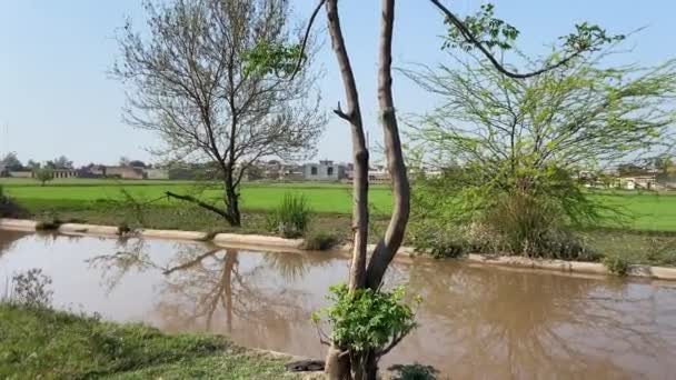 Подорож Село Узбіччі Дороги Перегляду Сільськогосподарської Зони Лахорі Пакистан Березня — стокове відео