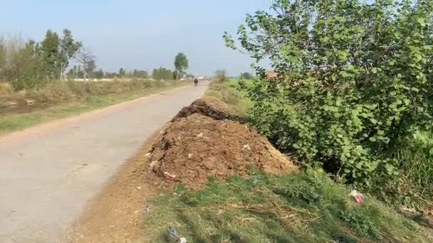 Viajando Aldeia Estrada Lateral Para Ver Área Agrícola Lahore Paquistão — Vídeo de Stock