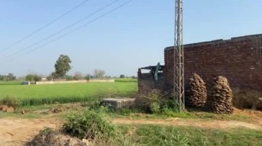 25 Mart 2024 'te Lahor Pakistan' daki tarım alanını görmek için yan yoldaki köyde seyahat etmek