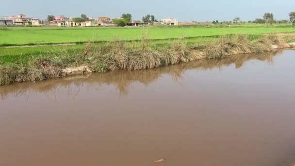 Viaggiando Villaggio Sulla Strada Laterale Vedere Superficie Agricola Lahore Pakistan — Video Stock