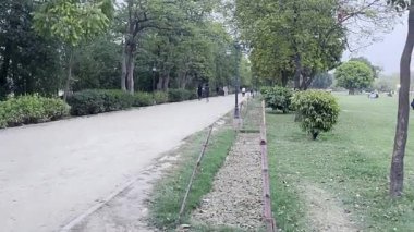 Parkta yeşil çimenler