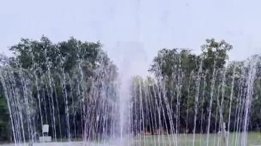 Parkın göbeğinde Mughal mimarisinden esinlenilmiş ve yerli çiçekli heykellerle süslenmiş görkemli bir çeşme ziyaretçiler için 3 Haziran 2024 tarihli huzurlu ve büyüleyici bir vaha oluşturur..
