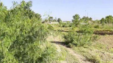 street view of beautiful items in Gujrat, Pakistan on June 8, 2024.