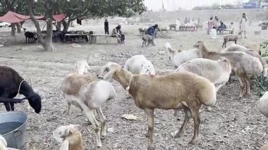 Piyasadaki bir grup insan