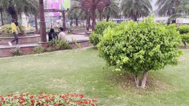 Sabahları parkın manzarası.