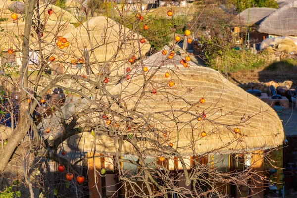 Herbstlandschaft Des Traditionellen Koreanischen Dorfes Mit Persimmon Baum Und Strohhaus — Stockfoto