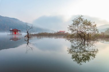 Sonbaharın sabah sahnesi gölde