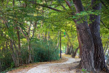 Rezervuarın sonbahar sabahı manzarası
