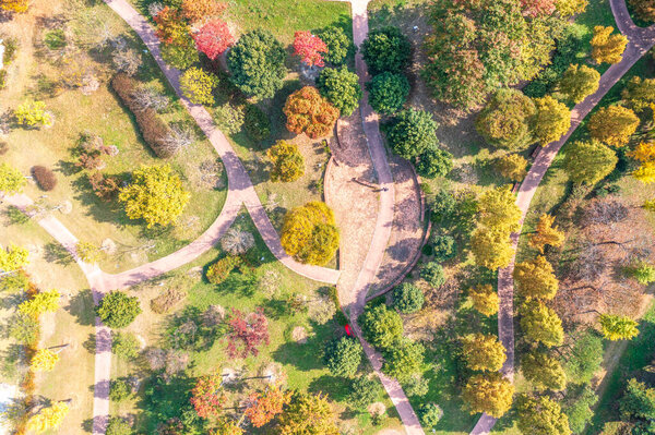 An aerial view of the park in autumn