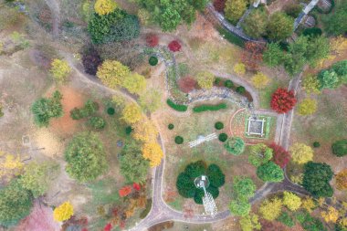 Sonbaharda renkli ormanlardaki yol manzarası.