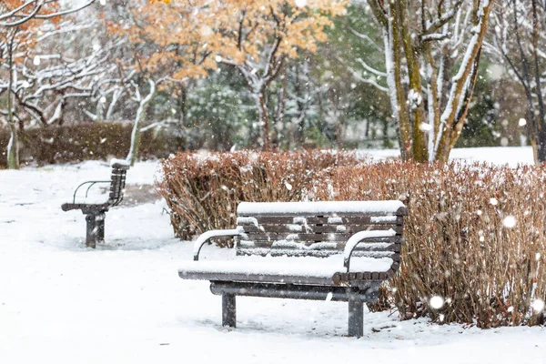 Kışın güzel kar manzarası