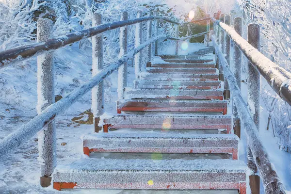 Dağlık bir ormanda karlı kış yolu. Güzel kış manzarası.
