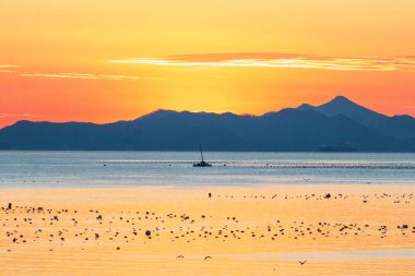 Güney Kore 'nin Namhae Sunrise Park' ında Deniz Gündoğumu Manzarası