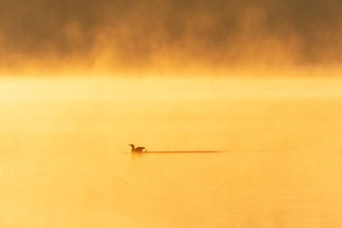 Kore 'de Junam Barajı Kış Gündoğumu Sahnesi