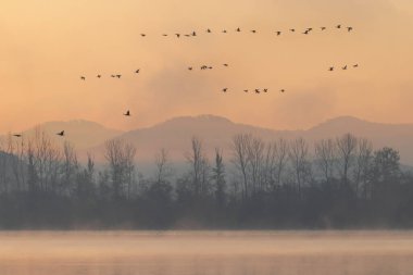 Kore 'de Junam Barajı Kış Gündoğumu Sahnesi