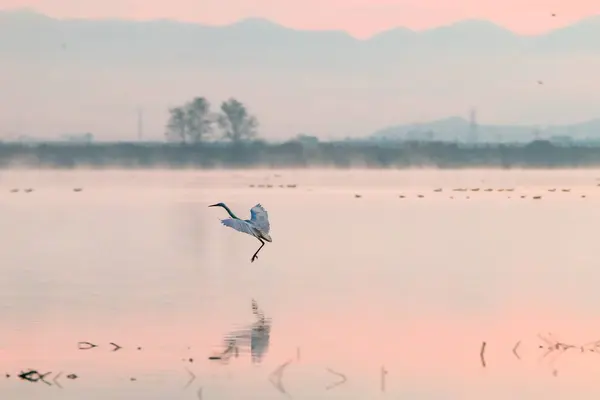 Kore 'de Junam Barajı Kış Gündoğumu Sahnesi
