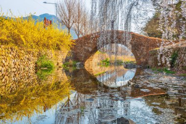 İlkbahar sahnesi. Çiçekler açıyor.