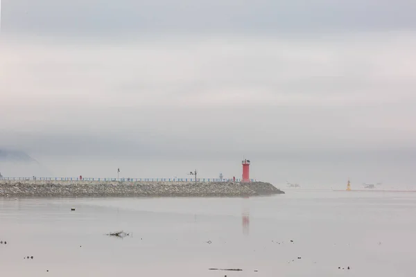 Kore 'deki Gwangam Limanı' nın sabah manzarası.