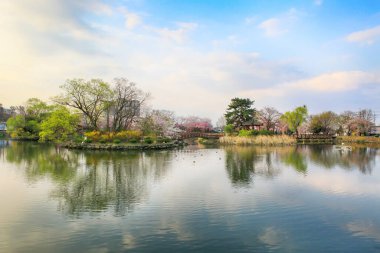 Kore, Changnyeong 'daki Yeonji göletinin bahar manzarası.