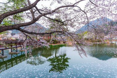 Kore, Changnyeong 'daki Yeonji göletinin bahar manzarası.