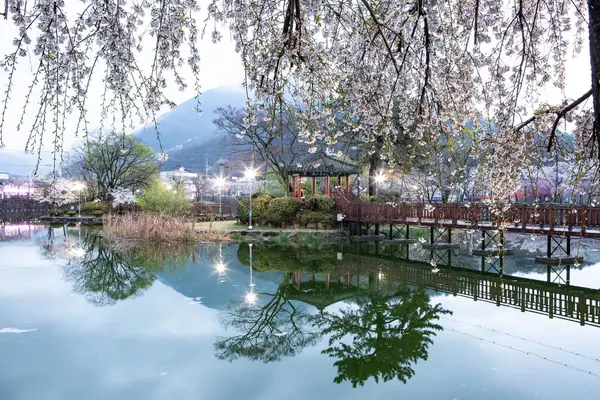 Spring scenery of Yeonji pond in Changnyeong, Korea