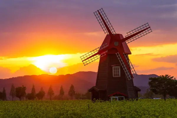 Kore 'deki Nakdonggang Nehri kanola tarlalarının bahar manzarası.