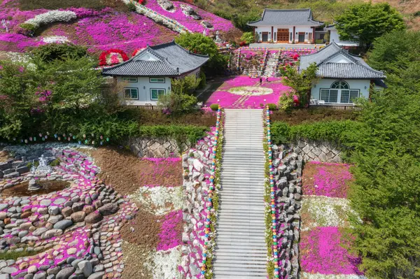 Kore 'deki Daemyeong Tapınağı' nın pembe yosun manzarası, Sancheong.
