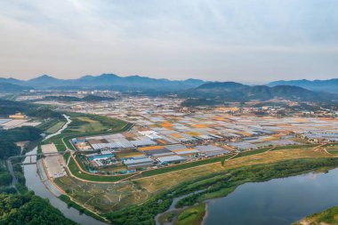 Hava aracı görüntüsü. Çevre parkının bahar manzarası.