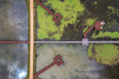 Hava aracı görüntüsü. Kore 'nin Upo Wetland' ının bahar manzarası.