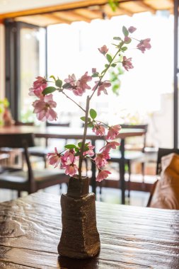 Salon yaban elması ağacında pembe çiçekler çiçek açmış..