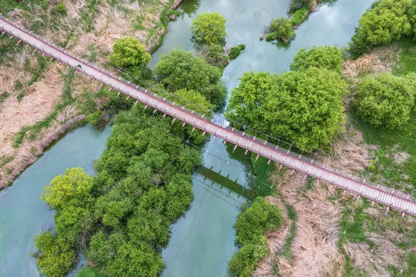 stock image aerial drone view. Spring scenery of Korea's Upo Wetland.