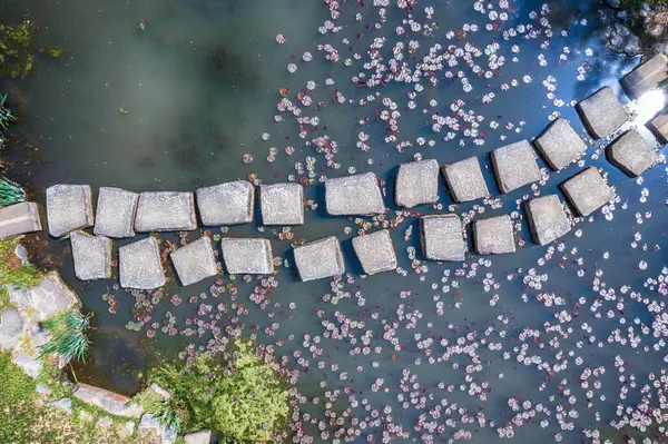Hava aracı görüntüsü. Parkın bahar manzarası.
