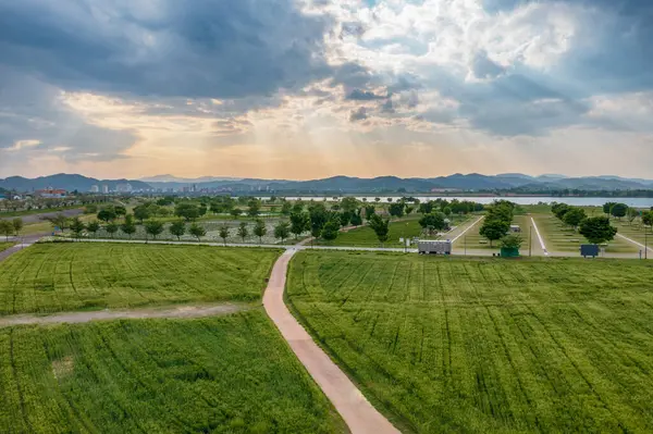 stock image aero drone view. Green Barley Field Scenery of Nakdonggang River in Korea.